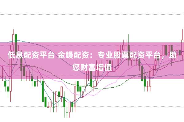 低息配资平台 金鳗配资：专业股票配资平台，助您财富增值