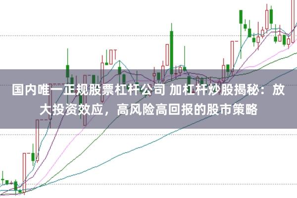 国内唯一正规股票杠杆公司 加杠杆炒股揭秘：放大投资效应，高风险高回报的股市策略
