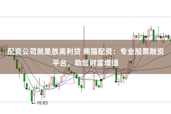 配资公司就是放高利贷 熊猫配资：专业股票融资平台，助您财富增值