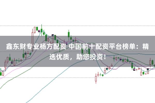 鑫东财专业杨方配资 中国前十配资平台榜单：精选优质，助您投资！