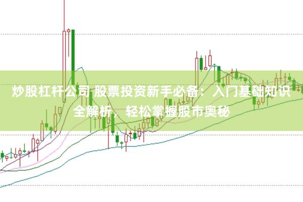 炒股杠杆公司 股票投资新手必备：入门基础知识全解析，轻松掌握股市奥秘
