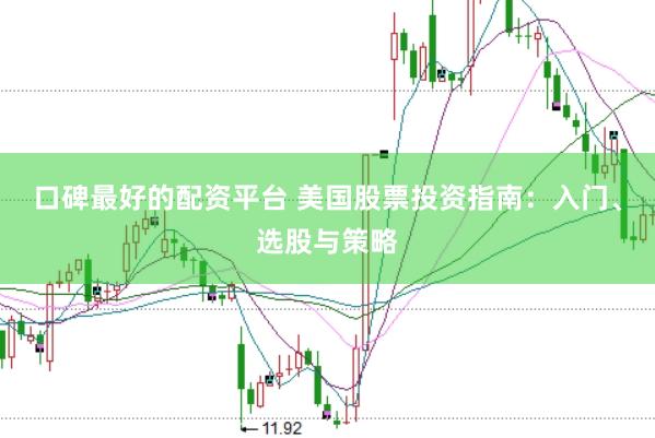 口碑最好的配资平台 美国股票投资指南：入门、选股与策略