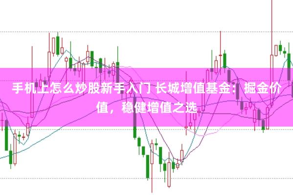 手机上怎么炒股新手入门 长城增值基金：掘金价值，稳健增值之选