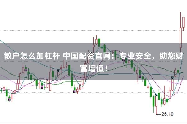 散户怎么加杠杆 中国配资官网：专业安全，助您财富增值！