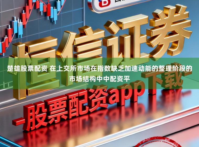 楚雄股票配资 在上交所市场在指数缺乏加速动能的整理阶段的市场结构中中配资平